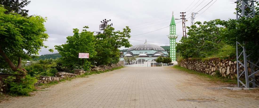 Köyümüzün cami yolu