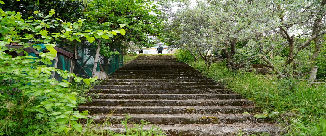 Köyümüzün Yeşillik Görünümü